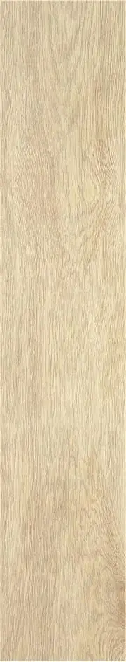 TACORA BEIGE MT 23X120 КЕРАМОГРАНИТ