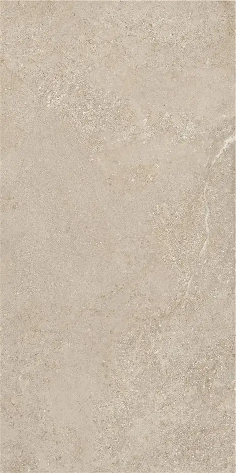 ARENITE NATURAL MT 60X120 КЕРАМОГРАНИТ