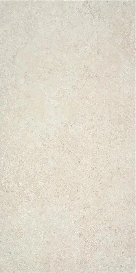 OREGON IVORY MT 60X120 КЕРАМОГРАНИТ