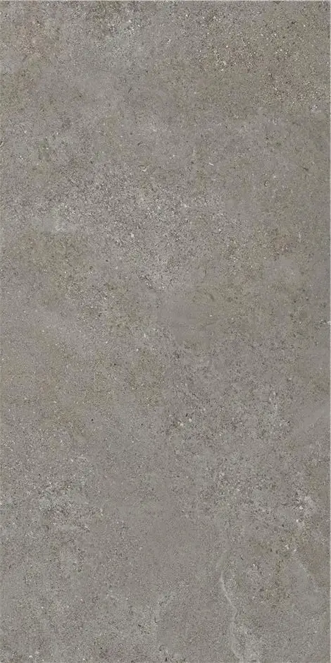 ARENITE DARK GREY MT 60X120 КЕРАМОГРАНИТ