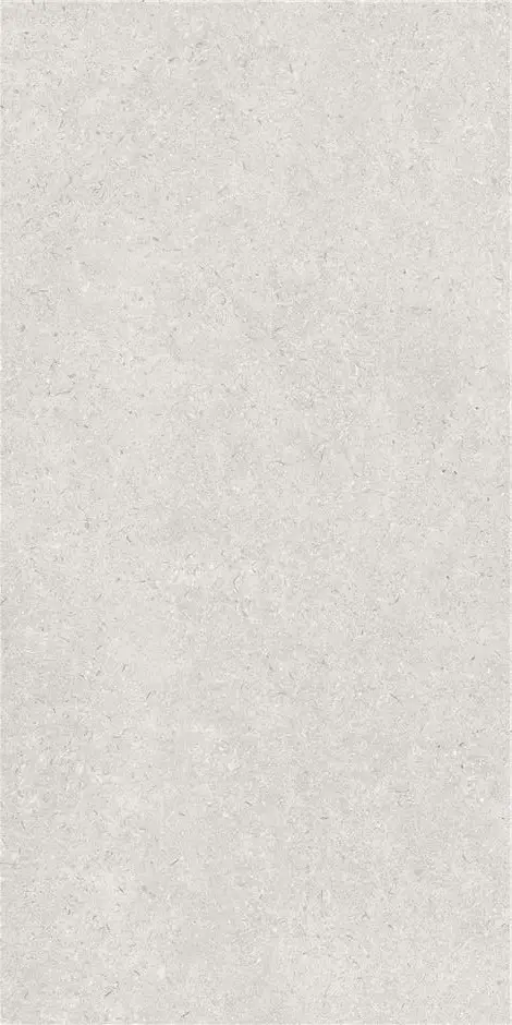 LEIRIA GREIGE MT 60X120 6MM