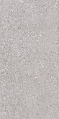 SAN VICENTE NATURAL MATT 60X120