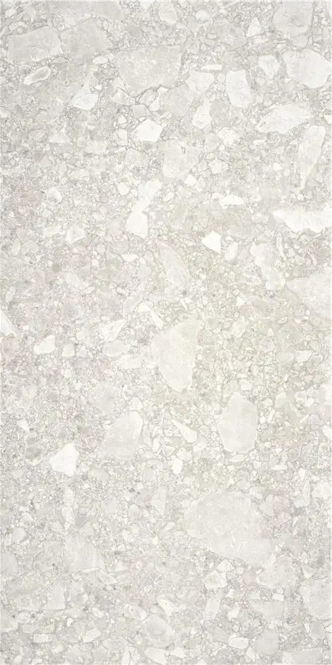 CEPPO DI GRÉ LIGHT GREY MT 60X120