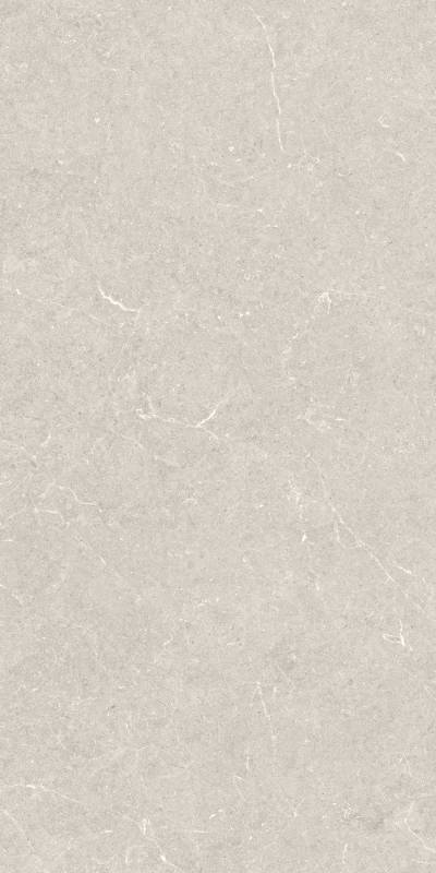 BERGSTEIN IVORY MATT 60X120 Artech