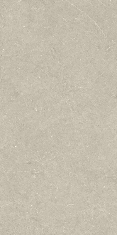 BERGSTEIN BEIGE MATT 60X120  Artech