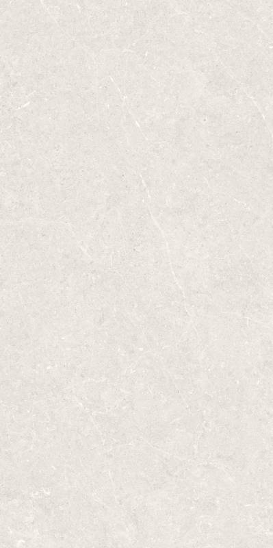 BERGSTEIN LIGHT MATT 60X120 Artech