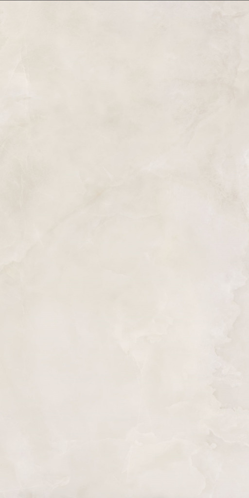 ANIMA EVER Royal Onyx Matt R10B 60X120 КЕРАМОГРАНИТ